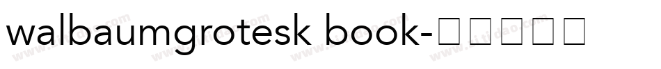 walbaumgrotesk book字体转换